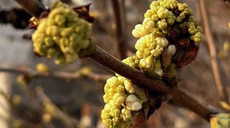 ������ �� ����� ����������� ������