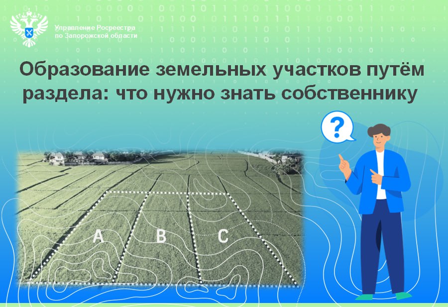 Разделить земельный участок: пошаговое руководство для собственников