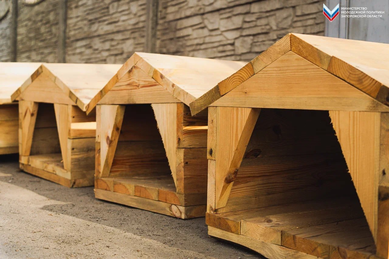 «Юг Молодой» помогает приюту для животных «Юг Молодой» помогает приюту для животных