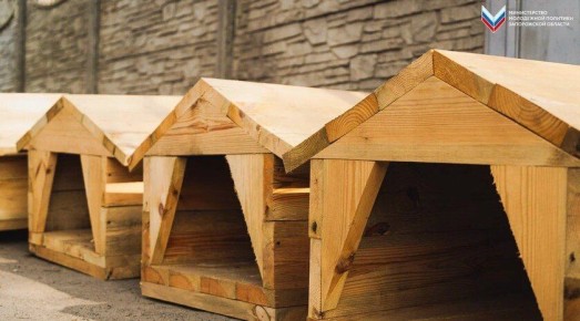 «Юг Молодой» передал новые будки в мелитопольский приют для собак