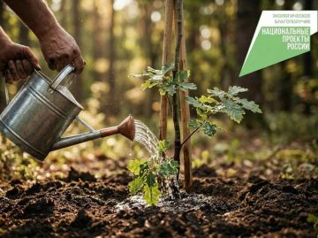 ������������ ���� �������� ��� � ����������� ������� ������� ����������� ������