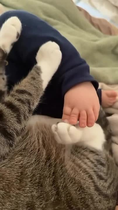 Ночь приходит не только для отдыха, но и для того, чтобы оставить позади всё, что уже нельзя изменить сегодня