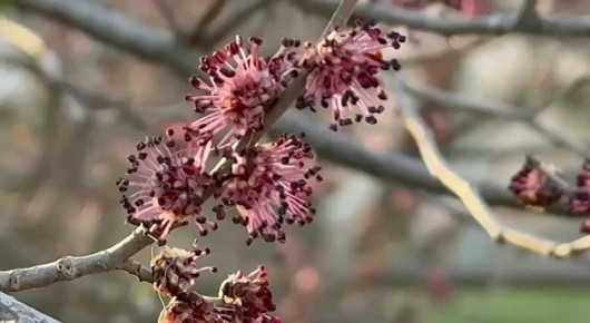 26�����, �������. ����� ����� �������� ���� ���� ���������, �������� � ������ ���������