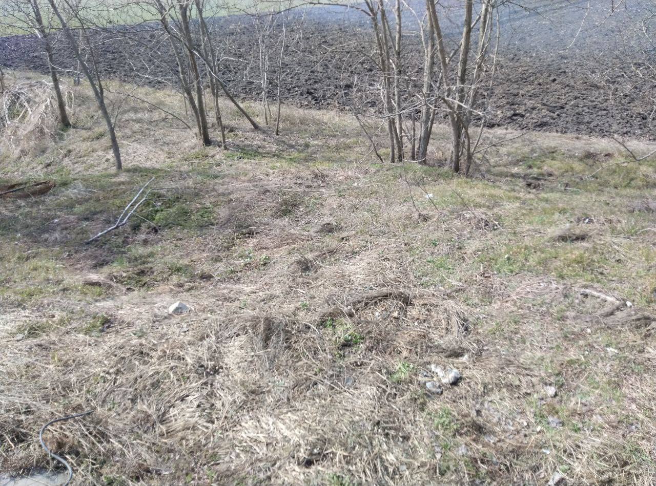 Чистота начинается с каждого из нас Чистота начинается с каждого из нас