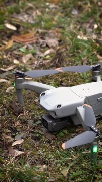 Приём заявок на конкурс «Краса Донбасса — 2026» — продлён до 25 марта!