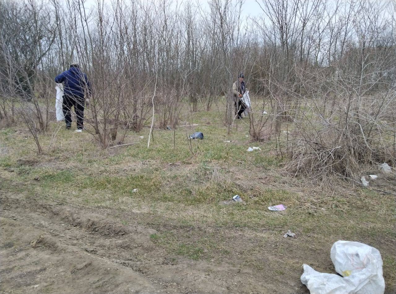 Чистота начинается с каждого из нас Чистота начинается с каждого из нас