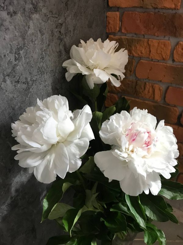 27 �����, �������. ������� � ��� �� ������ ���� ������, ��� ������ ��������� ����