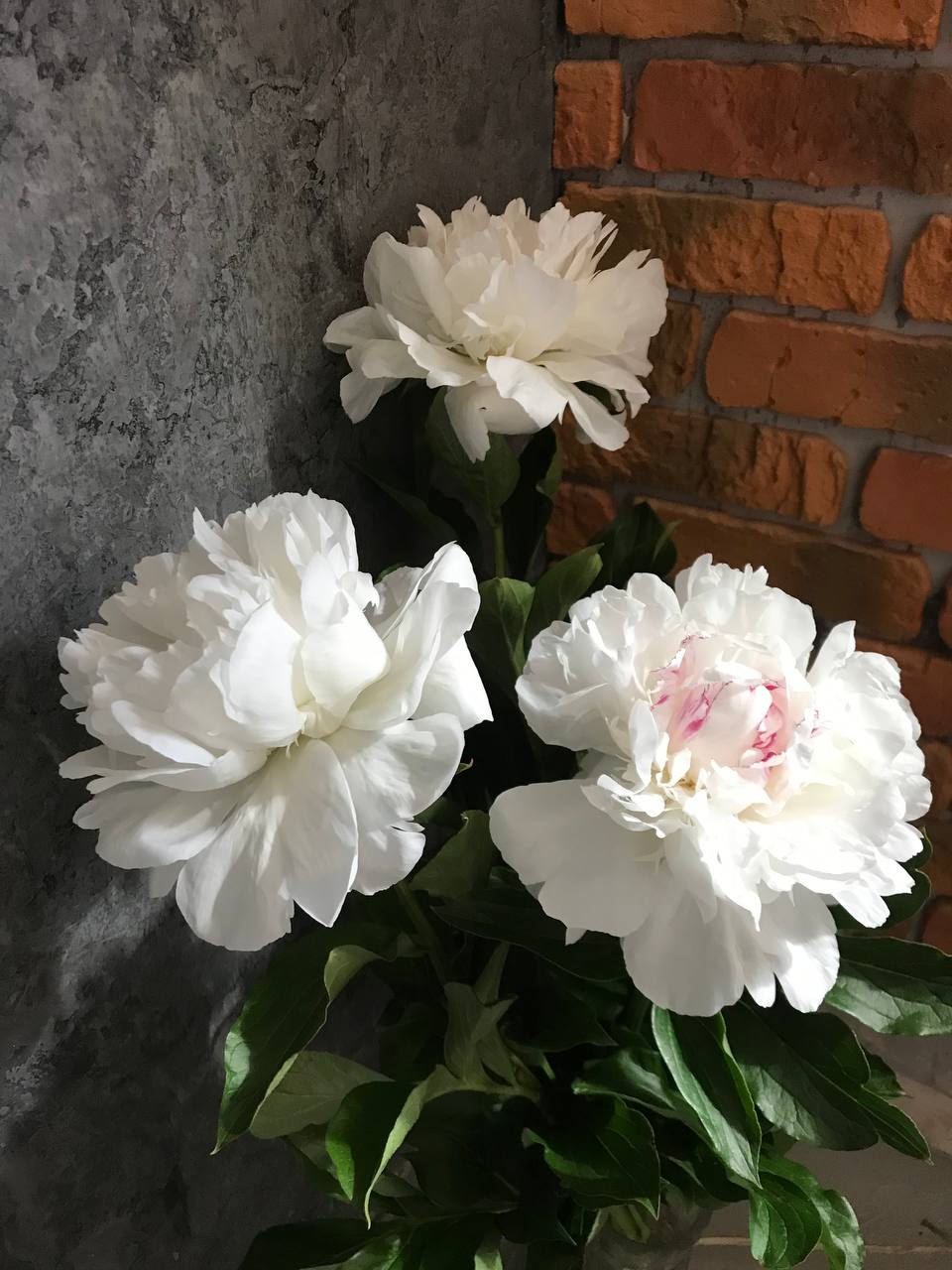 27 марта, пятница. Пятница — это не просто день недели, это особое состояние души 27 марта, пятница. Пятница — это не просто день недели, это особое состояние души