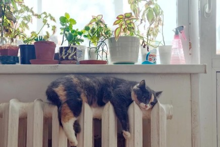 В Мелитополе пройдут гидравлические испытания при подготовке к новому отопсезону