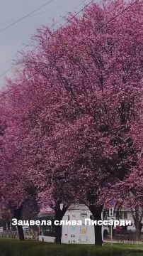 ���� ���������� ������� �� �������� - ������ �������� ����� ��������� � ���������