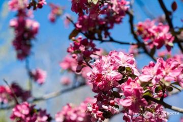 Погода на новых территориях России