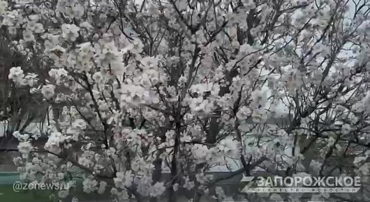 ����� � ���������� ������ ������ ��������� ���������: ������� ������� � ������ ������ ������