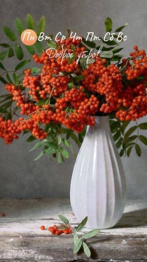 ������� ����, ������� ������������!!!