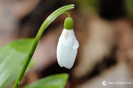 ������ �� ����� ����������� ������