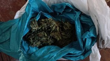 Хозяйственная постройка с «секретом»: в Мелитопольском районе изъяли наркотики