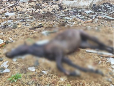 14 ������� ������� ����� ����� ������ ��� �� ������ ����� � ��������