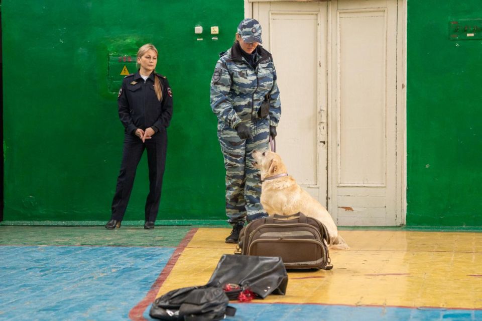 Энергия, движение и безопасность: в Мелитополе прошли «Уроки здоровья» Энергия, движение и безопасность: в Мелитополе прошли «Уроки здоровья»