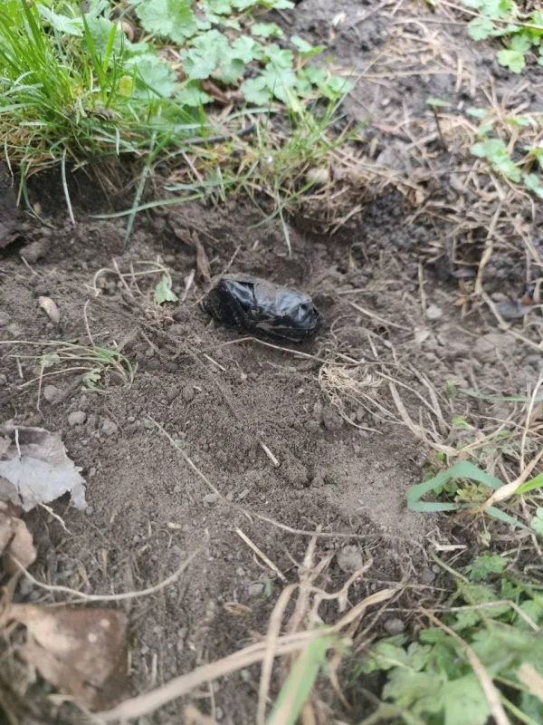 Полицейские Мелитополя пресекли деятельность закладчика наркотиков Полицейские Мелитополя пресекли деятельность закладчика наркотиков
