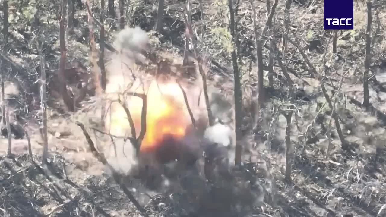 Штурмовые подразделения ярославских десантников захватили опорный пункт ВСУ в Запорожской области