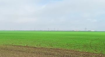 ������ ����! ���� ��������������� �������������� ������ ������ ���� � ������ �������� ������� ����� ����� �������, ��������� � ���, ��� ���� ������������ �������� ����� � �������