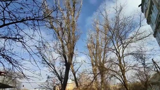 �������� � ����� ��� ����� ������������ ������������� ������ �������