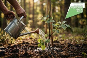 ������ ��������: ��������� ���������. ���� ������� �������� ����������� ���������� ��������