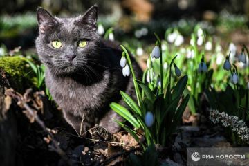 Погода на новых территориях России