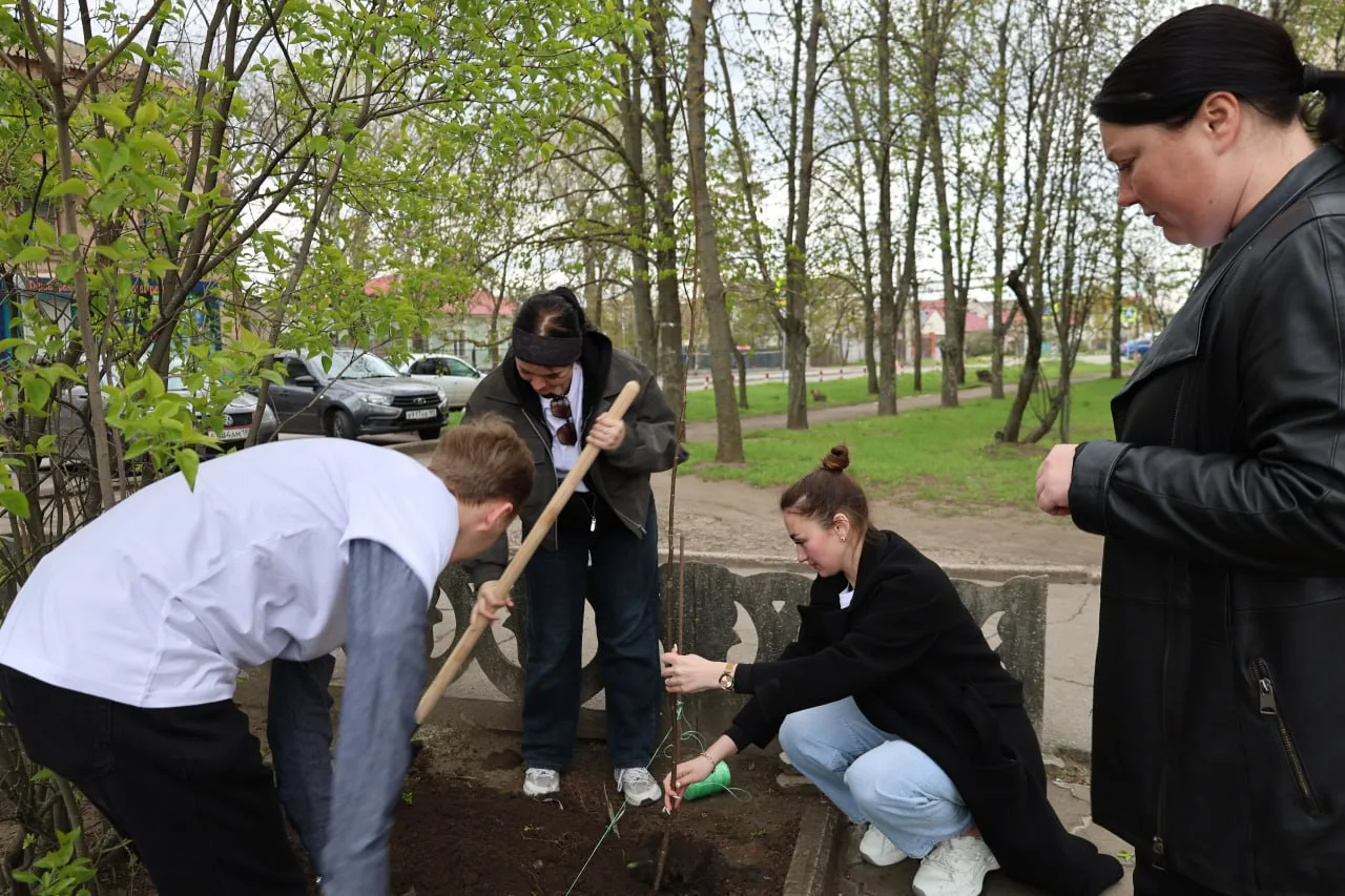 Живая память: Молодёжный совет по культуре высаживает аллею героев Живая память: Молодёжный совет по культуре высаживает аллею героев