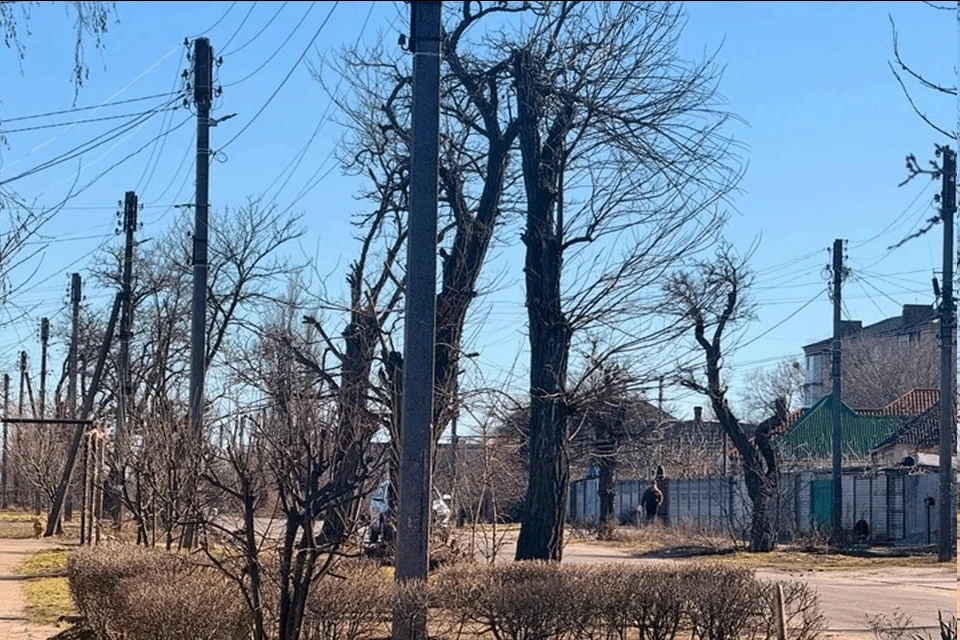 Солнце возвращается в регион: какая погода будет в Запорожской области 15 апреля 2026 года