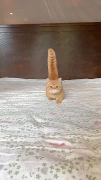 ������� ���� , ������� ������������!