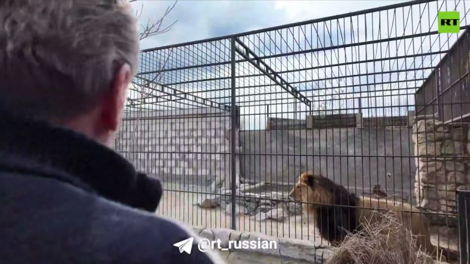Владелец зоопарка в Васильевке Александр Пылышенко рассказал военкору RT Филиппу Прокудину, как сегодня удаётся сохранять работу зоопарка в непростых условиях Владелец зоопарка в Васильевке Александр Пылышенко рассказал военкору RT Филиппу Прокудину, как сегодня удаётся сохранять работу зоопарка в непростых условиях