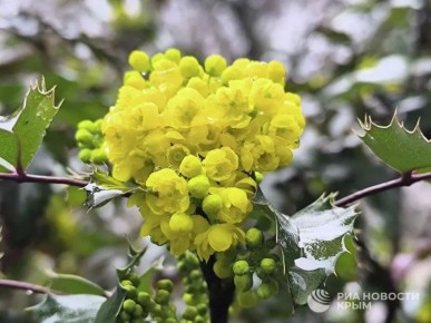 Погода на новых территориях России