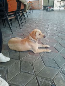 �������� ����� ������. ������ �� �� ������ ���� - ������ � ����������