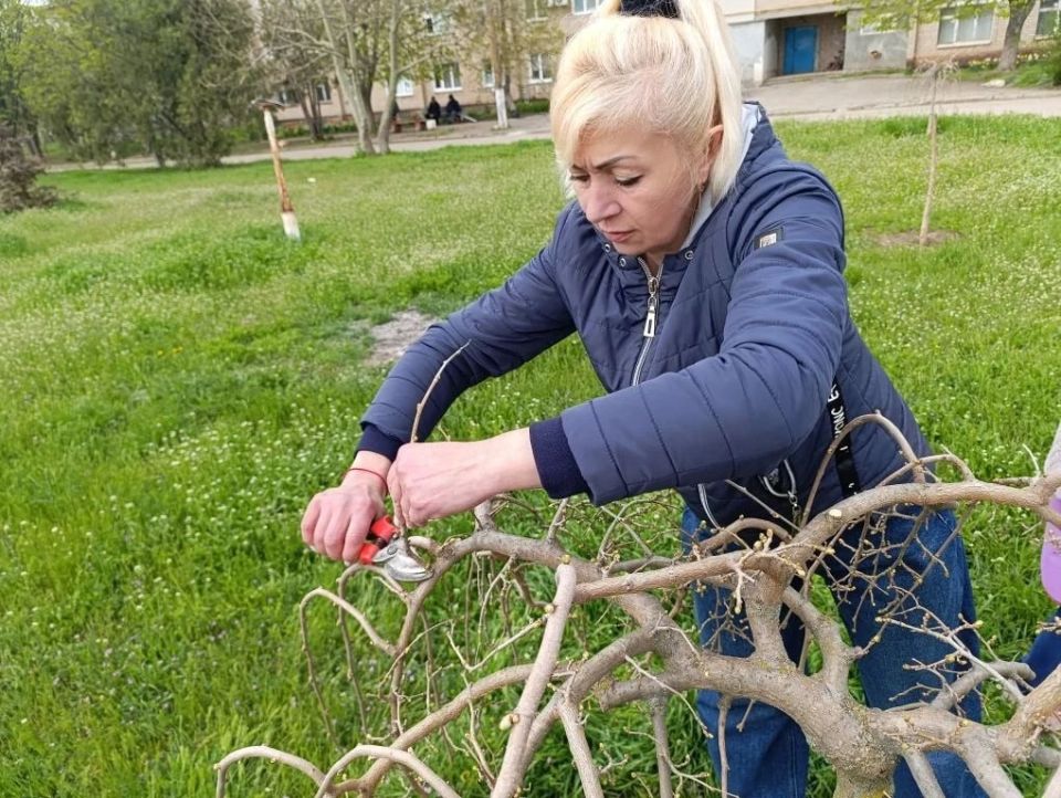В Мелитопольском муниципальном округе прошла экологическая акция, приуроченная к Всероссийскому субботнику В Мелитопольском муниципальном округе прошла экологическая акция, приуроченная к Всероссийскому субботнику