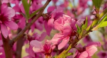 ������ ����!. ������� 24 ������, ������� � � ������, ������� �� ������ �������� ����, �� � ������������ ��������! ������� ������ �� �������: