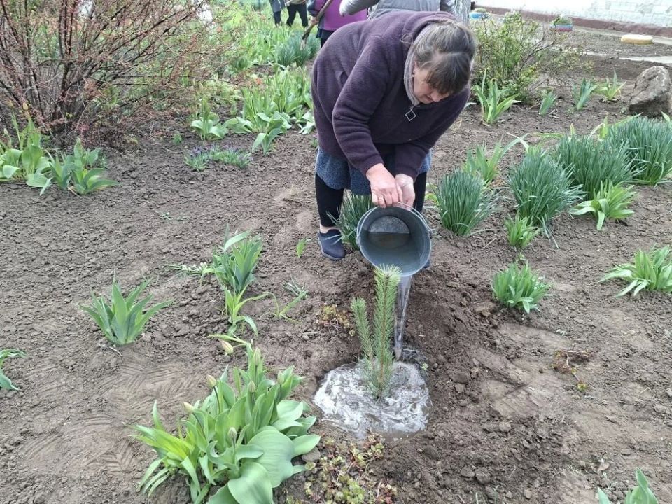 В Зареченском территориальном отделе состоялась экологическая акция по высадке саженцев сосны, приуроченная к Всероссийскому субботнику В Зареченском территориальном отделе состоялась экологическая акция по высадке саженцев сосны, приуроченная к Всероссийскому субботнику