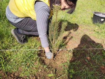 � ���� ���������� ������ ������������� ����� � ���������� �������������� ����������, ������� ��������� 25 ������ 2026 ���� �� ���� ������