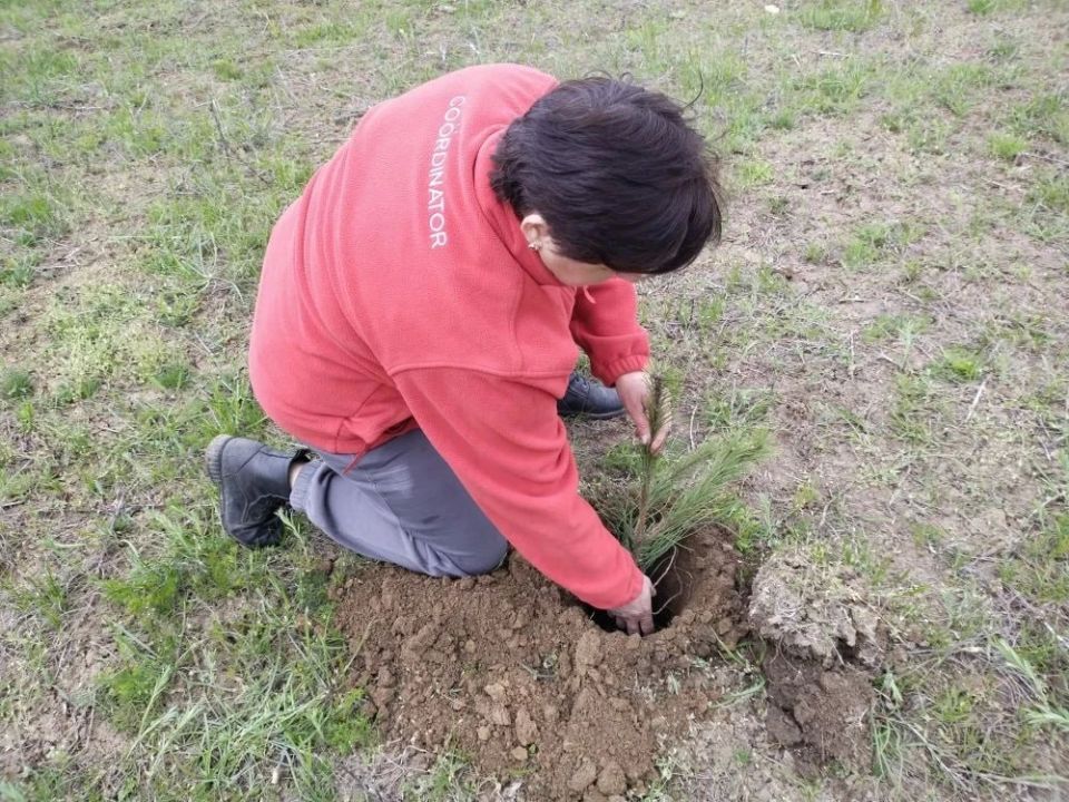 В селе Астраханка прошла экологическая акция в преддверии Всероссийского субботника, который состоится 25 апреля 2026 года по всей стране В селе Астраханка прошла экологическая акция в преддверии Всероссийского субботника, который состоится 25 апреля 2026 года по всей стране