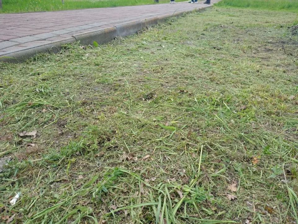 В поселке Возрождение прошёл субботник на территории памятника Великой Отечественной войны В поселке Возрождение прошёл субботник на территории памятника Великой Отечественной войны