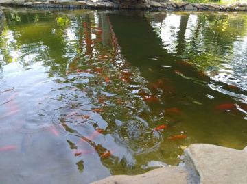 �������������� ���� �������: ����� ����� �������� ����