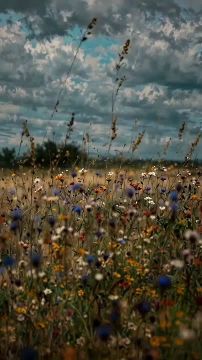 ������ ����!. �������, 28 ������ 2026 �. �������� ���� � �������� �������� � ����� ������������