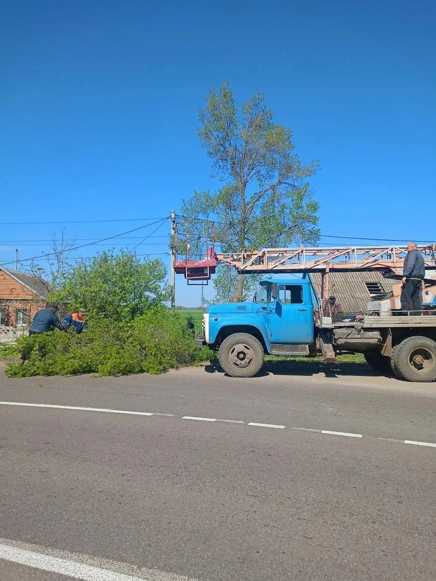 Безопасность прежде всего. Сотрудники МБУ «Жилсервис» провели плановые работы по обрезке опасных зеленых насаждений по улице Горького в селе Новобогдановка Безопасность прежде всего. Сотрудники МБУ «Жилсервис» провели плановые работы по обрезке опасных зеленых насаждений по улице Горького в селе Новобогдановка