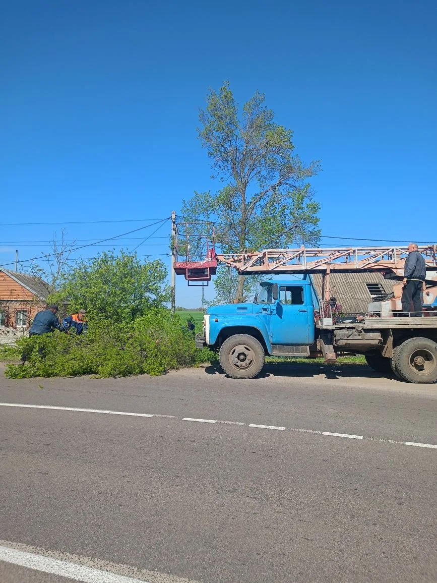 Безопасность прежде всего. Сотрудники МБУ «Жилсервис» провели плановые работы по обрезке опасных зеленых насаждений по улице Горького в селе Новобогдановка Безопасность прежде всего. Сотрудники МБУ «Жилсервис» провели плановые работы по обрезке опасных зеленых насаждений по улице Горького в селе Новобогдановка