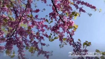 � ���������� �������� ��� �������� ���������� ������������ � ���� ������ ������ ������, ��� ������ ��������� ��������� ��������� ������ ���������-������� �������