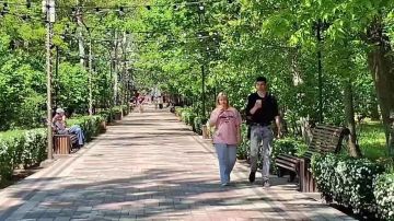 Мелитопольские волонтёры превращают проекты в стройматериалы для мечты