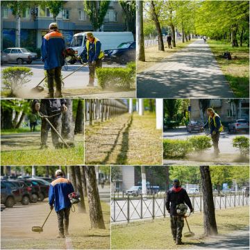 � ���������� ������������ �������� ����� �����