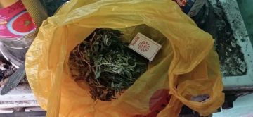 В Мелитопольском районе полицейские задержали мужчину за хранение марихуаны