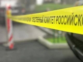 По факту нападения беспризорной собаки на несовершеннолетнего в Мелитополе Следком проведёт проверку
