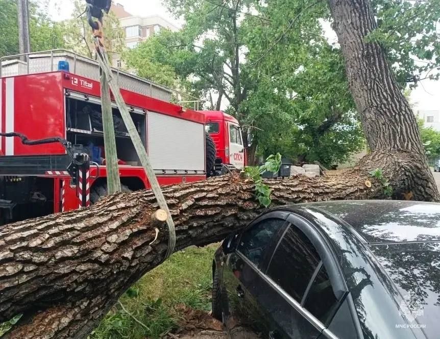 Последствия урагана в Мелитополе Последствия урагана в Мелитополе