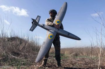 Дроны Hornet с машинным зрением атакуют трассу «Новороссия»